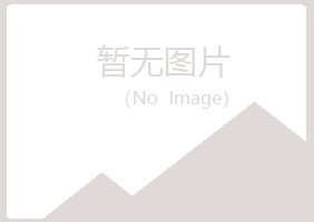 偃师映波能源有限公司